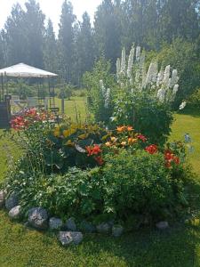 Reittiö B&B