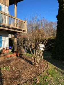 Familien-Appartement #10 Obermoosen