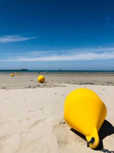Appartements BELLEVUE -Appartement de Charme - Vue imprenable sur la Mer - Face a Nausicaa : photos des chambres