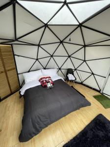 Glamping Wayra