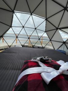Glamping Wayra