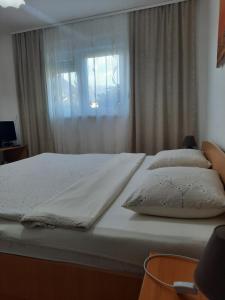 Guest House Olbina
