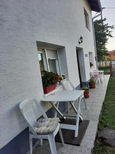 Guest House Olbina