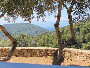 Laas Daskios, Stone Country House, Skopelos Anania
