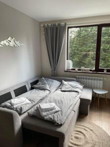Pine Tree Apartment Borovets Gardens