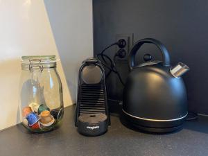 Grote Karekiet 24-30