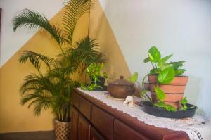 Casa Yume Jericoacoara
