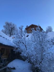 Chalets Chalet 1830 au pied du MONT CHARVIN : photos des chambres