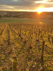 Chalets Nuit’s Feerique en Champagne : photos des chambres