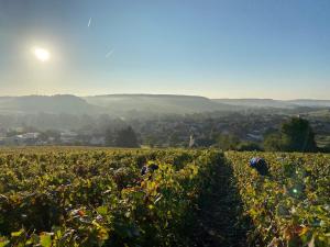 Chalets Nuit’s Feerique en Champagne : photos des chambres