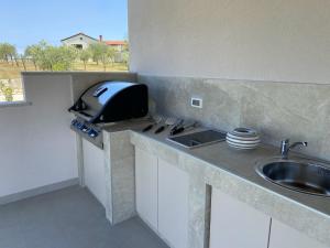Villa Victoria Istra - heated pool