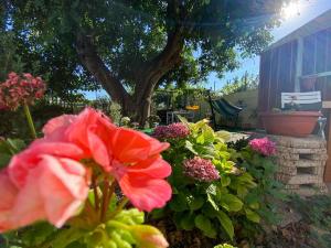 La Casa del Carrubo img23