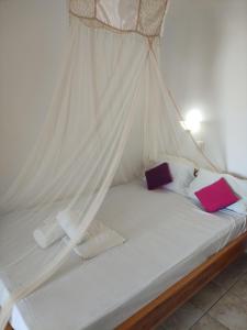 studios Katerina A Lentas