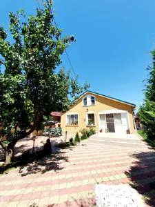 La Turturica - Sohman