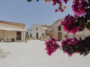 Case Marianeddi - نوتو