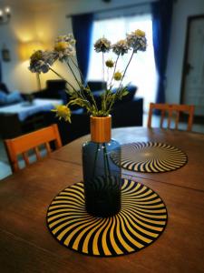 Mazurski Pejzaż - dom z widokiem i ogrodem