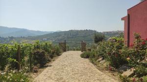 Quinta dos Padrinhos - Suites in the Heart of the Douro