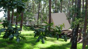 Amaraxe Ecoglamping