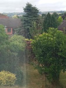 Swn Y Gwy ~ The Sound of the Wye