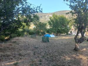 Tentes de luxe Campement des bailes : photos des chambres