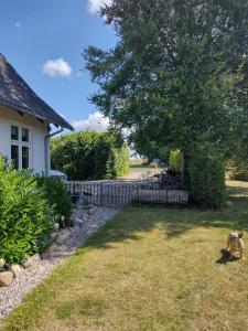 Den Gamle Apotekergaard