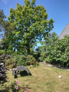 Den Gamle Apotekergaard