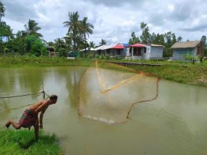 sundarban jungle mahal resort