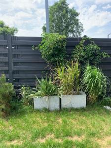 Garden Apartment Self Check-in - Bezkluczowy Dostęp w 10 minut o każdej porze