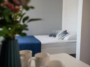 Amber Dom Gościnny - 米泽德沃兹