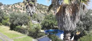 Casa das 3 Palmeiras