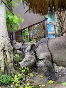 Nature Safari Camp