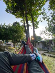 Nature Safari Camp