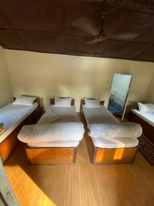 Nature Safari Camp