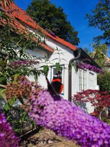 Fischerhaus Blankenese