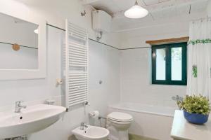 Vigna Sant Amico Country House