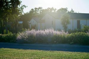 Campings Nature Holiday's Domaine du Teno : photos des chambres