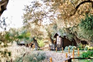 Holiday Park Olive Tree