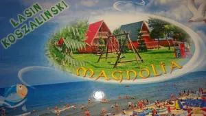 Domki Letniskowe Magnolia - Łopienica