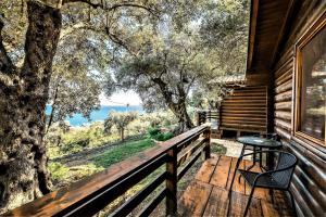 Holiday Park Olive Tree