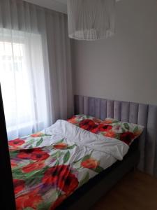 Apartament Kaszubska