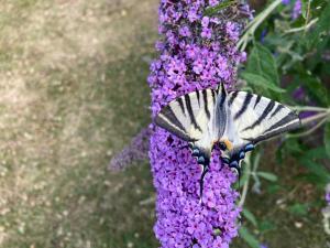 Ferienhaus Gartenblick in Brieden
