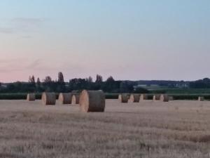 Maisons de vacances Gite Chez Jeannot : photos des chambres