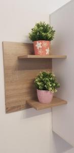 Karastoyanovis apartment 2