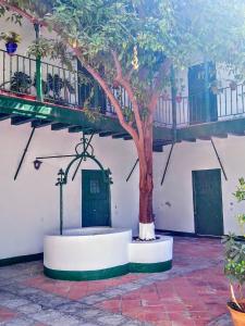La Puerta Verde de las Setas de Sevilla