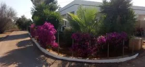 L'Oasi - 卡皮伦戈