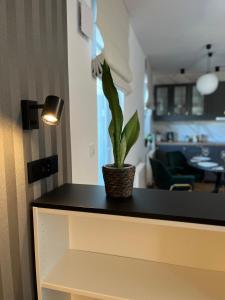 Halo Apartments Check in 24h Privat Parking