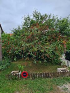 Maisons de vacances le cerisier : photos des chambres