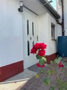 Ostermanns Apartment - Königsbach-Stein