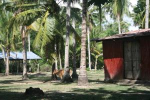 Spacious 2 bed bungalow in Baod fishing village