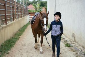Ranchzimmer am Hippo-Campus Reit- und Therapiezentrum